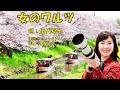 女のワルツ  伍代夏子