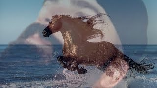 Keemstar Horse Tweets
