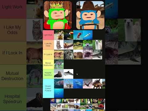 Could We Beat a Kangaroo??? #fyp #funny #animals #tierlist #ranking #controversial