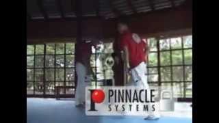 Treinos do Moonkick
