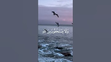 #القرآن_الكريم #راحة #راحة_نفسية #قرآن #قران_كريم #تلاوات #تلاوة_خاشعة #تلاوة_هادئة