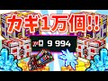 【ピクセルガン3D】鍵1万個を使って引きまくる!新年運試しガチャ!【あけおめ】