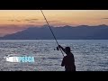 Pesca a Fondo e col vivo al Pesce Serra & Light Jigging in foce alla Leccia Amia