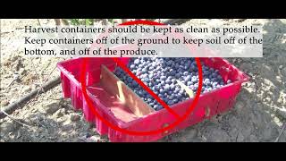 Gleaner Produce Safety Training: Protecting Those You Serve