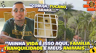 imagem do youtube