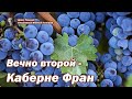 Вечно второй - Каберне Фран