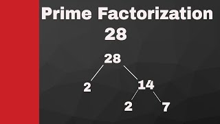 Famous Prime Factorization of 28 and 99 Wealth