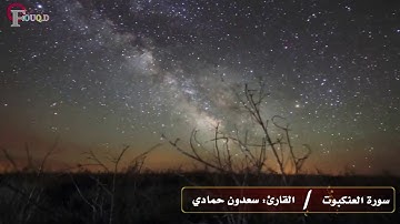 تلاوة خاشعة للقارئ/ سعدون حمادي | مونتاج أفق الدعوة HD