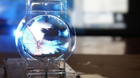 Scientists Use Sound To Project Images on Screens Made of Soap Bubbles