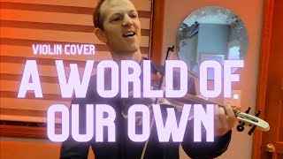 A World of Our Own Wonka Movie [Asher Laub violin cover]