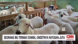 Seorang Ibu Ternak Domba, Omzetnya Ratusan Juta
