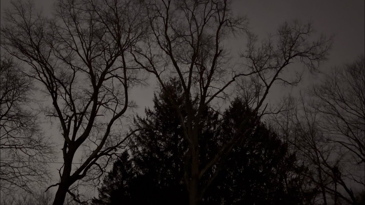 GWC Weather Footage - Arctic Blast Cometh - Full - February 7, 2026