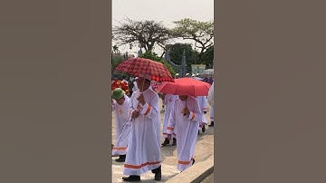 Rước Đoàn Lễ Nghi Giáo Phận Bùi Đưa Tăng Cha Cố Giuse Trần Đức Tâm