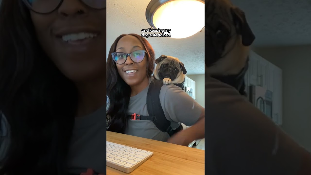 Clingy Pug Needs To Be With His Mom 24/7 | The Dodo