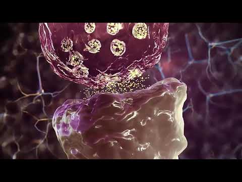 Vidéo: Comment évolue l'ataxie cérébelleuse ?