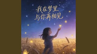 我在梦里与你相见