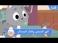 الهر الصغير والفأر المحتال قصص اطفال قبل النوم حكايات اطفال بالعربية الهر الصغير والفأر المحتال قصص اطفال قبل النوم حكايات اطفال بالعربية