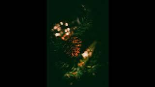 CHRISTMAS TREE - V (BTS) WITH CALMING AND RELAXING RAIN SOUNDS