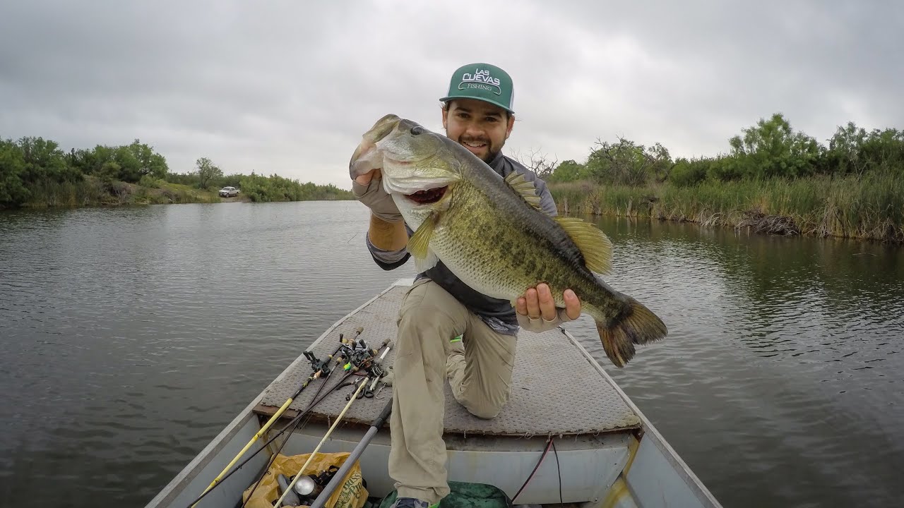 Big bass on a zara spook – Las Cuevas Ranch