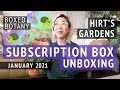 Hirt's Boxed Botany | January 2021 Houseplant Subscription Box Unboxing