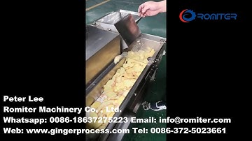 High Speed Ginger Stick Cutting Machine