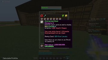 BEST Unpatched Hypixel Skyblock Dupe Mod June 2025