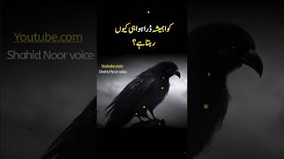 "Why Are Crows Always Afraid? | Unveiling the Mystery!" #shorts #shortsfeed #ytshorts #viralvideo