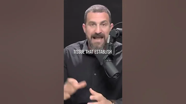 Improve Flexibility with Research Supported Stretching Protocols | Huberman Lab Podcast #podcast