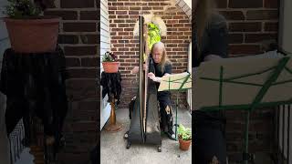 Suzanne Shields Performing Dill Pickles On Celtic Harp