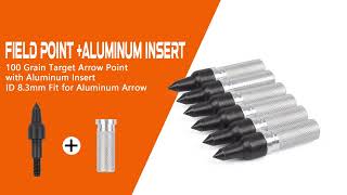 Archery Arrow Point And Inserts For Arrows
