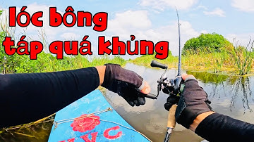 Một ngày đi câu cá lóc bông