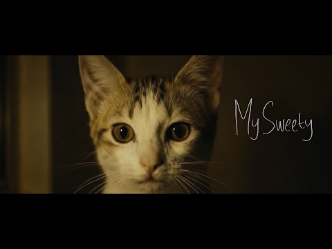 CChilla My Sweety Official Lyric