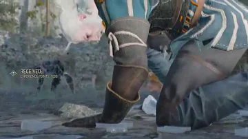 How did Vesemir die?