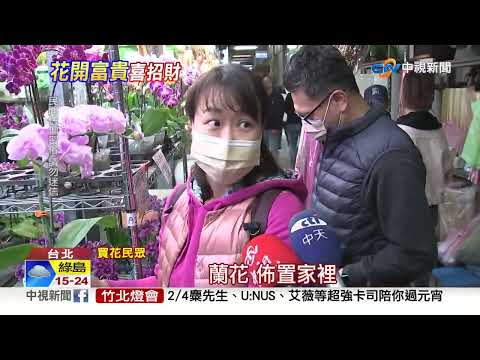 花市擠爆! 民眾瘋買年花 "放這地方"招財又旺運│中視新聞 20230120