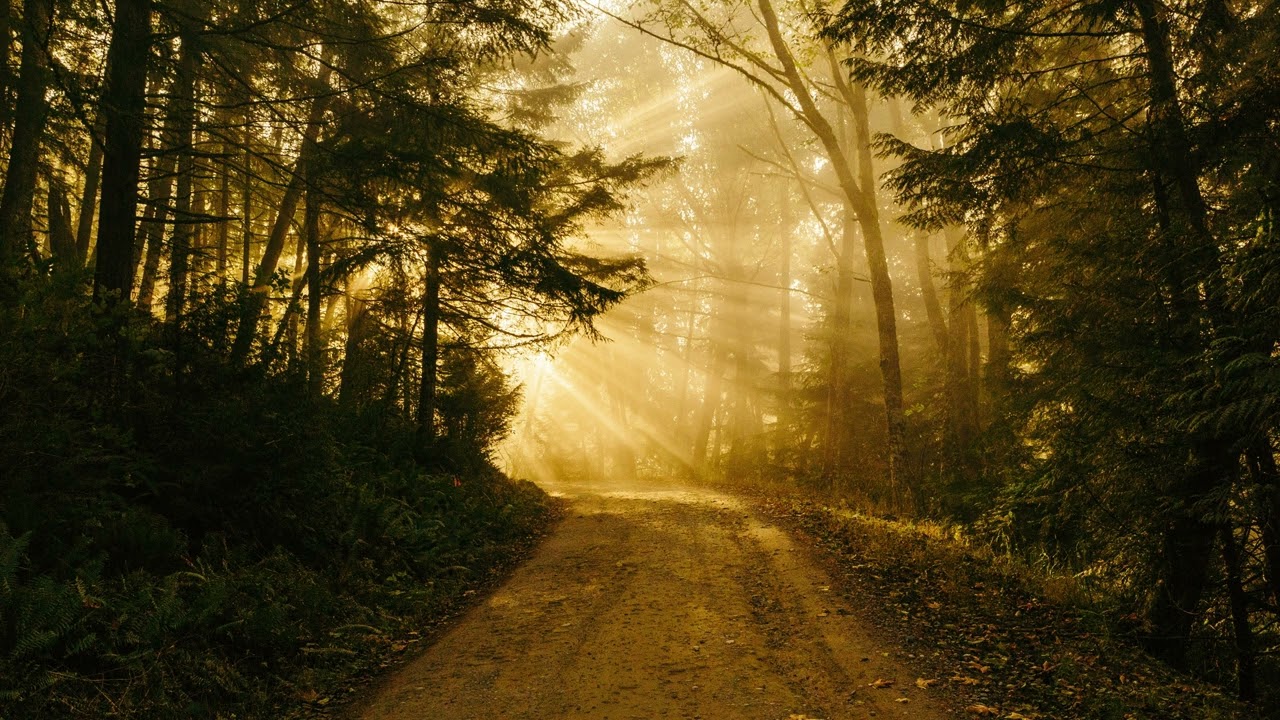 Sun Glare | Royalty Free Music