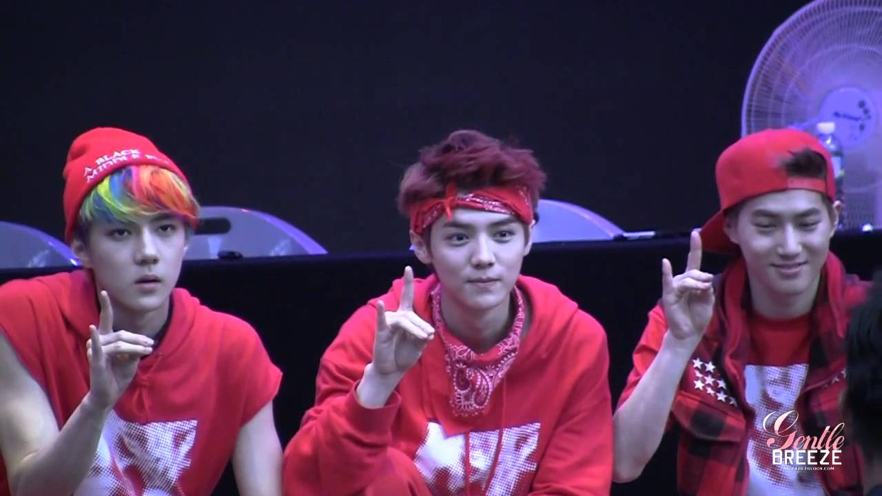 [FANCAM]130608 Irsan Fansign Event  LUHAN