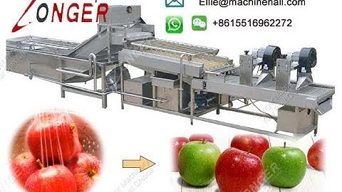 Automatic Date Washing and Drying Machine Production Line