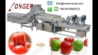 Automatic Date Washing and Drying Machine Production Line
