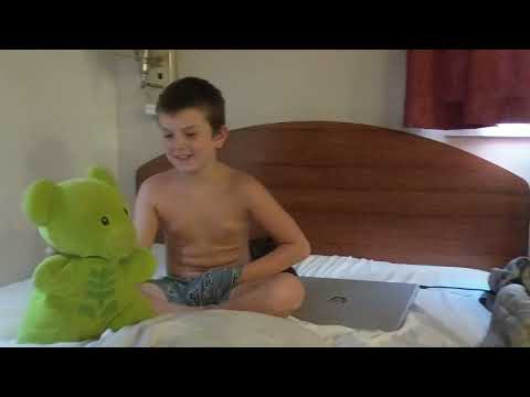 Beary Adventures 1: Beary's Questionare Part 1.