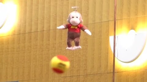 Kinematics Demo: Shoot the Monkey