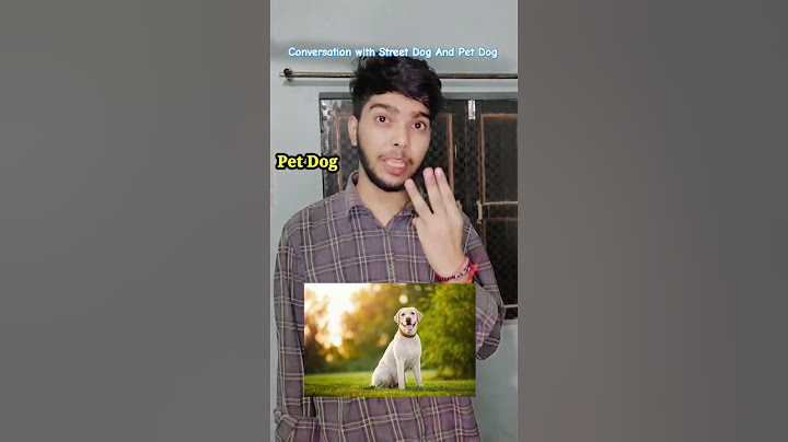 Conversation With Street Dog and Pet Dog 😀🐕 #dogtalk #funny #pets #animals #dogsworld #dogfans