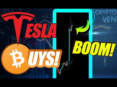 TESLA BUYS BITCOIN AND BTC PRICE GOES BOOM!