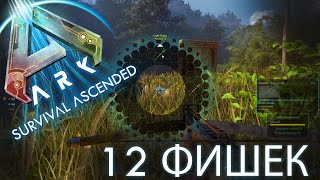 12 фишек и новых механик в ARK: Survival Ascended, о которых вы должны знать