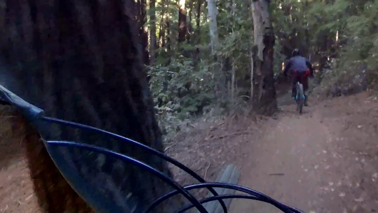 braille trail following archie