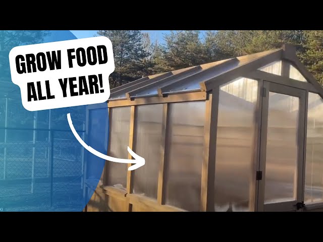 Grow Your Own Food Year-Round with the Yardistry Greenhouse!