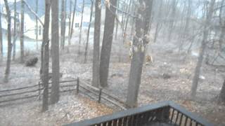 February 8th, 2012 Snow Part 6/16