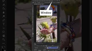 Convert Video to Gif Animation in Photoshop screenshot 1