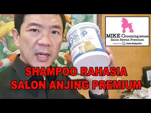 Video: Resep Shampoo Anjing Buatan Rumah