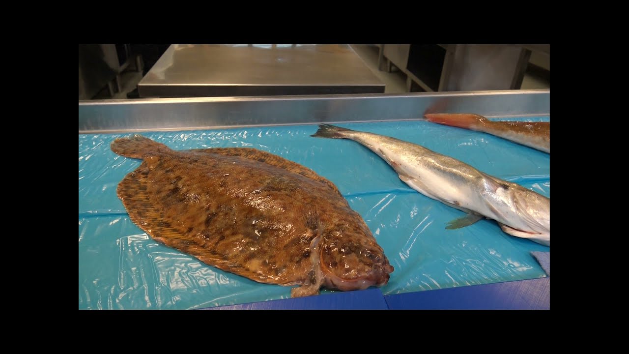 Workshop "Noordzeevis" o.l.v. SVH Meesterkok Jef Schuur en Jan Doorn van vishandel Jan van As