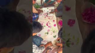 Nature’s Imprint: The Art of Leaf and Flower Eco-Printing